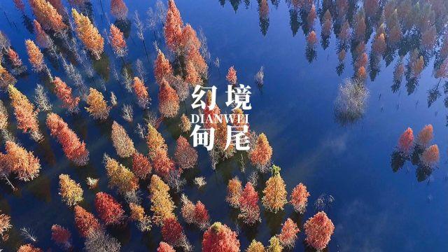 为什么左边乳房肿块?-让求知更简单